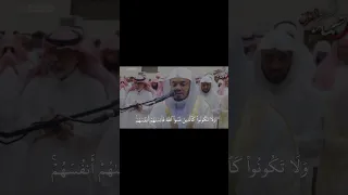 Https Www Instagram Com Reel DAwm IzNZ0s Igsh MW90MmQ3NjIyZ3o5Mg 