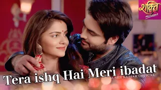 tera ishq hai meri ibadat shakti astitva ke ehsaas ki colors tv