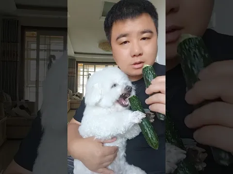 There’s so much delight and raw emotion in his eyes 😂🥒