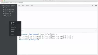 The While Loop