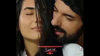 جورج وسوف حبيبي زي القمر دندنها