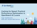 Caching for Speed Practical Performance Optimization in OpenSearch Lucene - S Upadhyaya A Jain