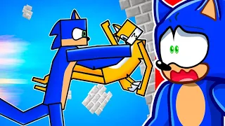 PEOPLE PLAYGROUND ADDED SONIC..??