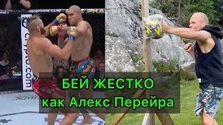 Жесткий УДАР Алекса Перейра.