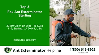 Top 3 Ant Exterminator Helpline in Lowes Island