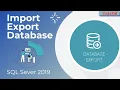 Export Import Database From SQL Server 2019