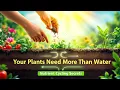 Unlocking The Secrets Of The Nutrition Cycle Nutrient Cycling In Ecosystems