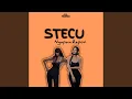 Download Lagu DJ Stecu X Ngapain Repot