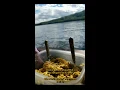 Where to stay when traveling to Moscow Maine Cozy camp rentals Review Lakeside rentals Review