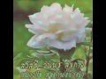 ดอกไม้ให้คุณ