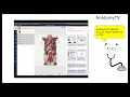 Intro to the Library Tutorial
