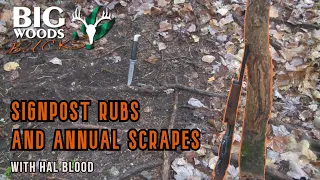 Checking Signpost Rubs and Annual Scraps while Still Hunting with Hal Blood Big Woods Bucks