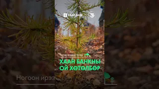 Доройтсон ойг нөхөн сэргээж, эх байгальдаа шинэ амьдрал бэлэглэе.💚
