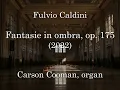 Fulvio Caldini Fantasie in ombra op 175 2022 for organ