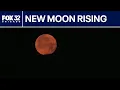 Eyes to the skies the Strawberry Moon peaks tonight