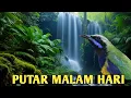 Download Lagu MASTERAN CUCAK CUNGKOK DAN SUARA AIR COCOK UNTUK TERAPI DAN MASTERAN