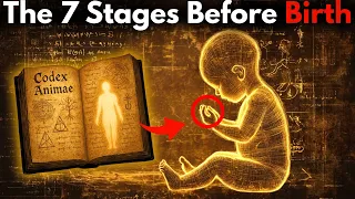 The Forbidden 1200-year-old Book That Reveals The STAGES Your SOUL Goes Through Before INCARNATING