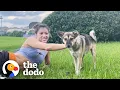 Pro Athlete Rescues Stray Dog Who Kept Showing Up To Practice The Dodo