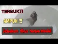 Download Lagu Cara membuat perangkap tikus 🐀 2 menit jadi 🐀 ll ampuh tanpa modal -