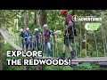 Exploring the Redwoods on Zip Lines