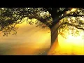 Raga Desi Compose Dr Kamaly Kalam Maulana Balchi