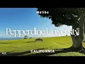 Pepperdine University A Stunning Campus Walkthrough in Malibu California