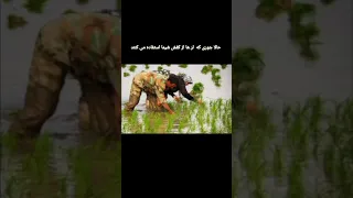 این کفش نیست تانک جنگی باحال 