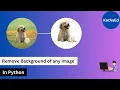 Remove background from any image using python in 3 lines Python for beginners