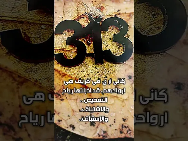 ⁣يافارس الحجاز ادركنا #ستوري #معلومة313 #يامهدي #بقية_الله #ستوريات  #الإمام_المهدي #رباط_من_نور313