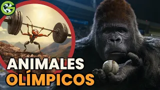 ¿Y si los ANIMALES participaran en los JUEGOS OLÍMPICOS? 🏋️ (Batallas épicas)