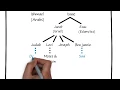 Lesson Family Tree Old Testament Overview Christian Bible Study