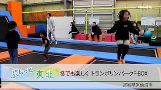 F BOX 34