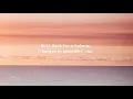 VIZE x Alan Walker - Space Melody (Lyrics) Edward Artemyev ft. Leony