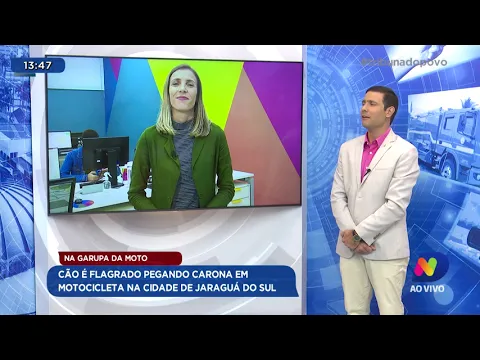 Na garupa da moto: cão é flagrado pegando carona em motocicleta na cidade de Jaraguá do Sul