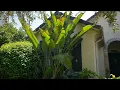April 2022 Garden Visalia California
