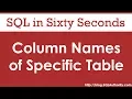 Get Column Names From a Specific Table - SQL in Sixty Seconds