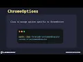org openqa selenium chrome ChromeOptions with example