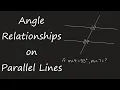 Finding Angle Relationships on Parallel Lines