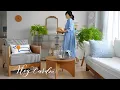 Download Lagu 낡았지만 여전히 쓸모 있는 것들과 함께하는 살림의 재발견/ 익숙한 물건을 새롭게 보는 시선을 가져 보아요/ 제로웨이스트 살림 꿀팁