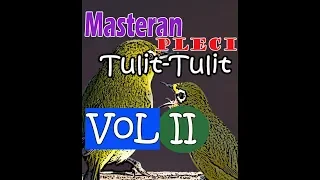masteran pleci tulit tulit materi 2019 vol ii