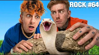 I Flipped 100 Rocks in Asia's Deadliest Jungle w/ InsecthausAdi