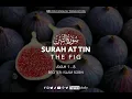 Download Lagu Surah At-Tin (The Fig) | Islam Sobhi | English Translation