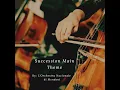Main Theme from 'Succession'