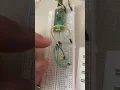 RaspberryPi Pico W wiring for button LED