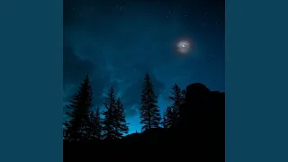 Live سلام دانك 