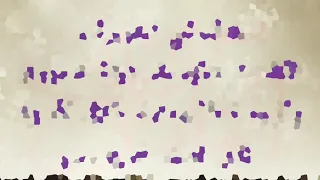 طالباتي الغاليات لن أنساكم Marwa Elshazly 