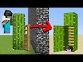 I Cheated with SECRET in Build Battle
