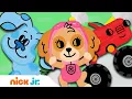 Nick Jr Story Time Compilation w PAW Patrol Blaze Blue Dora