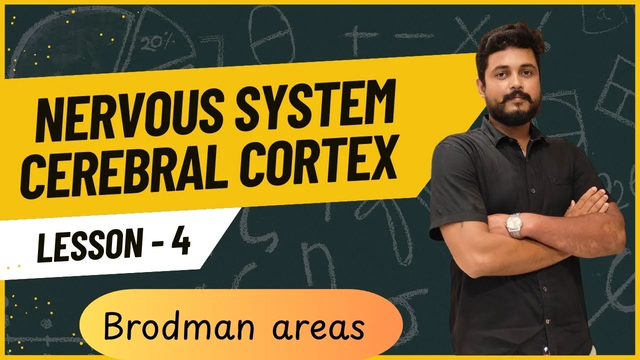 Broadmann's area of brain physiology/Brain/cerebral cortex ​#neuroanatomy #health #physiotherapy