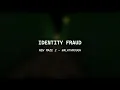 Identity Fraud - New Maze 2